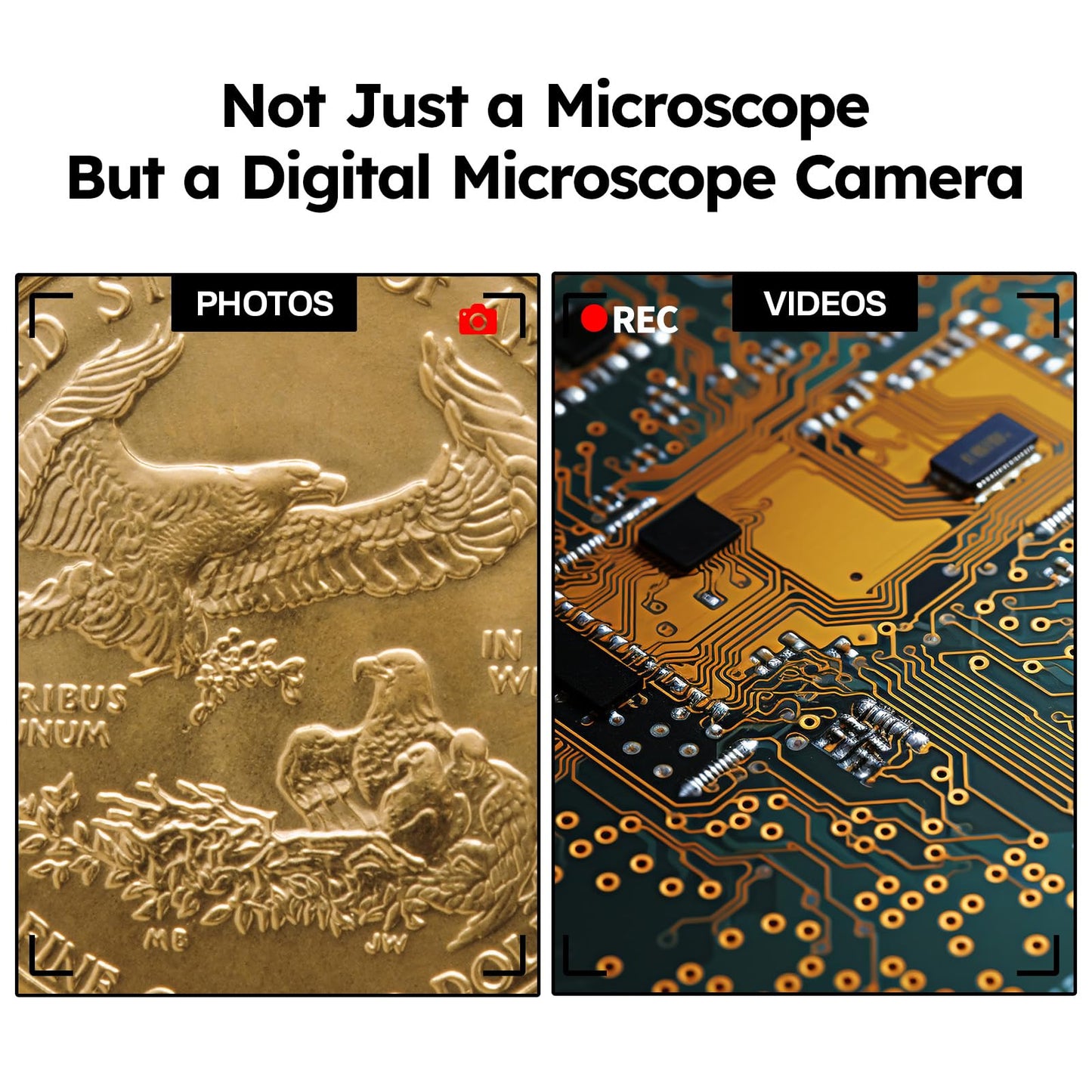 BEBANG WiFi Digital Microscope for Adults, 50X-1000X Wireless Phone Microscope with Adjustable Stand for Education Coins Electronics Repair