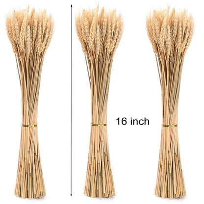 yarlung 300 Stems 16 Inch Dried Wheat Sheaves, Natural Wheat Stalks Bundle Fall Arrangement for DIY Craft, Home Table, Wedding