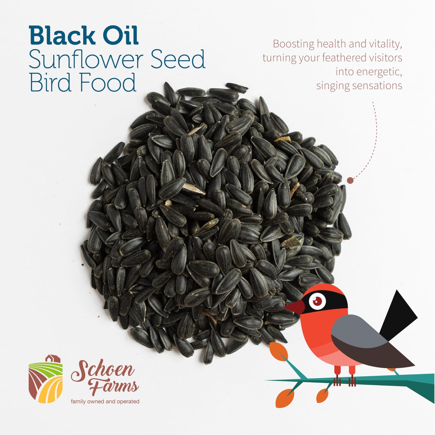 Schoen Farms Black Oil Sunflower Seeds for Birds (6 LBS)