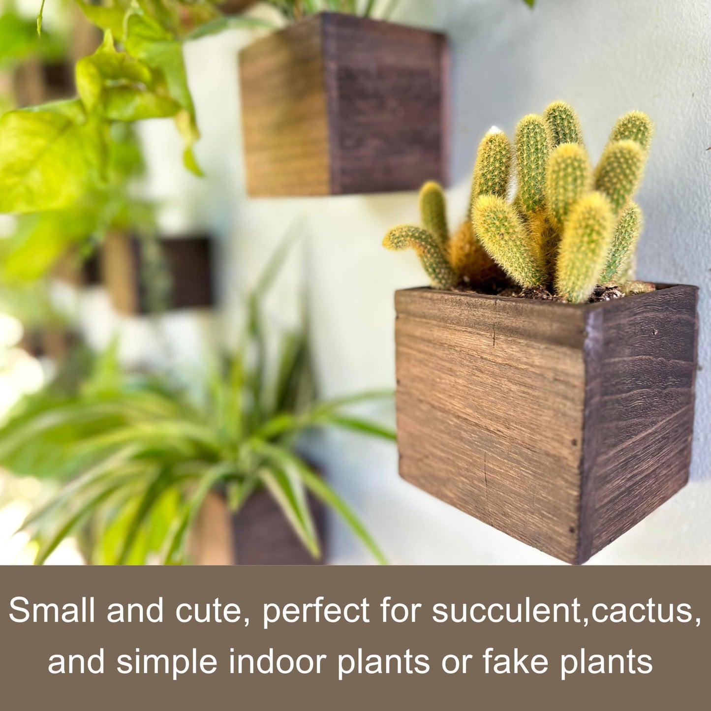 LaLaGreen Wood Planter Box for Plants (4x4 Inch, 6 Pack) Small Square Wooden Wall Planters for Indoor Plant, Hanging Window Flower Boxes Herb Planter Table Centerpiece Modern Home Garden Office Decor