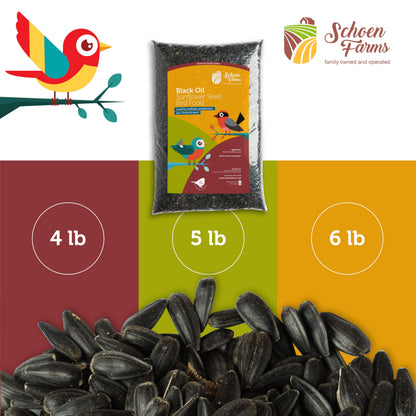 Schoen Farms Black Oil Sunflower Seeds for Birds (6 LBS)