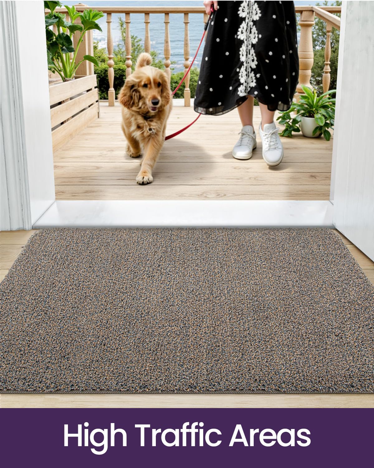 DEXI Indoor Door Mat Front Entrance, 20x32 Non Slip Dirt Trapper Soft Entry Rug, Absorbent Washable Doormat for Inside Entryway Floor Carpet, Brown-Blue