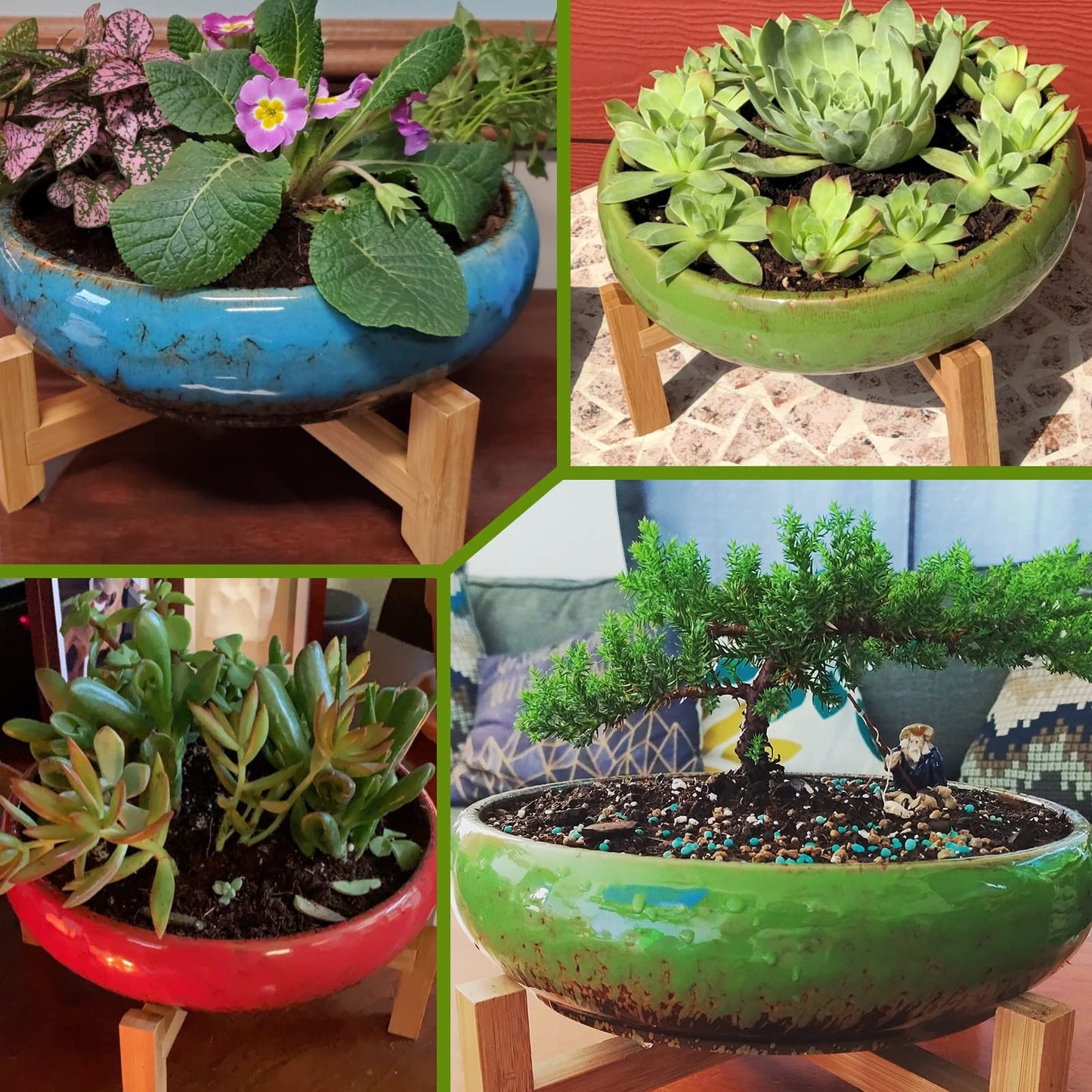 Succulent Pot - 10 Inch Large Plant Pots with Drainage Shallow Bonsai Pot with Stand, Ceramic Flower Pot for Indoor Cactus Succulent Planter Bowl Decorative Garden Home Office