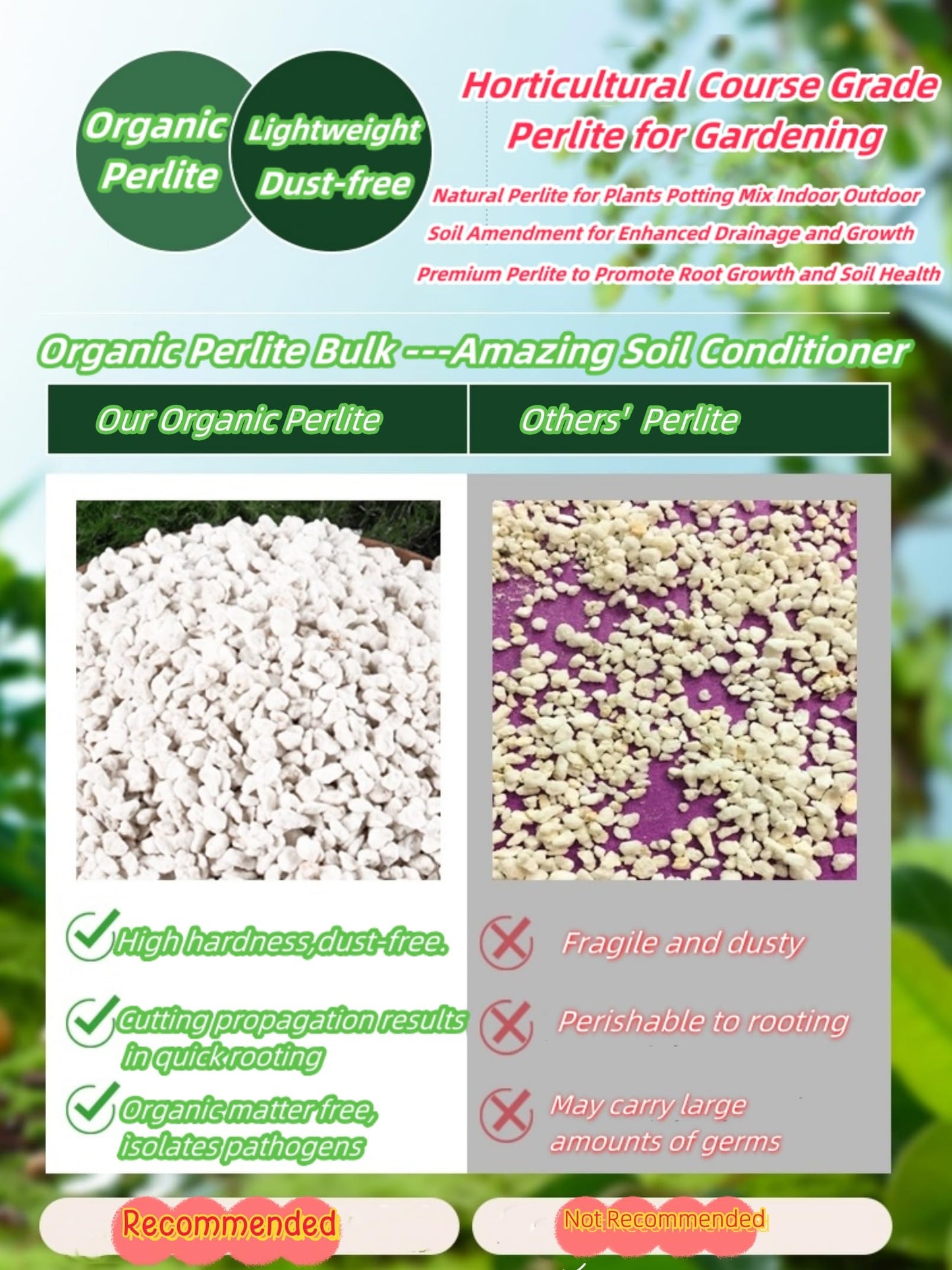 10QT Horticultural Grade Premium Coarse Perlite, All Natural Organic Perlite Soil Additive Conditioner Mix for Healthy Plants Potting Gardening,Promoted Drainage Growth and Improved Soil Health(3-6mm)