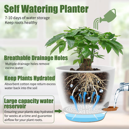5 Pack Plant Pots Indoor 7/6.5/6/5.5/5 Inch Flower Pots Self Watering Planters for Indoor Plants with Drainage Hole Plastic Plant Pot for African Violet Cactus Flowers Succulents(White)
