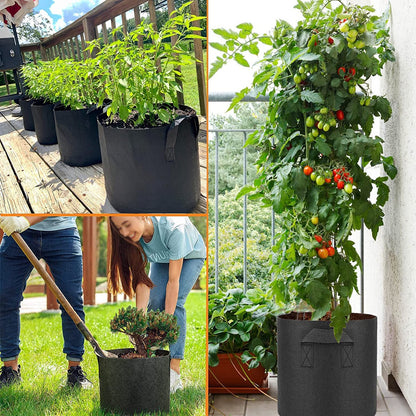 CGLEAM Grow Bags 10 Gallon 5 Pack Large Fabric Pots Heavy Duty 300g Thickened Nonwoven Grow Bags with Handles for Vegetables Fruits Flowers Plants Indoor Outdoor(16" Dia x 12" H)
