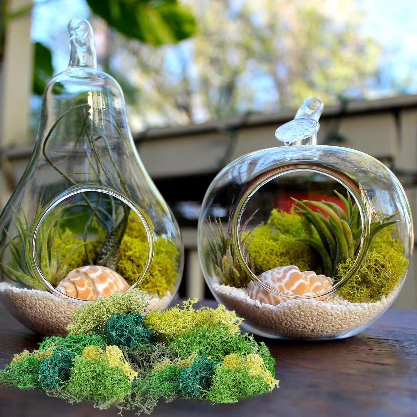 XIEJ Moss - Moss for Plants in 6 Colours, 240g Preserved Moss, Real Durable Natural Decorative Moss for Moss Picture Crafting/Decoration and Model Making Easter Decoration