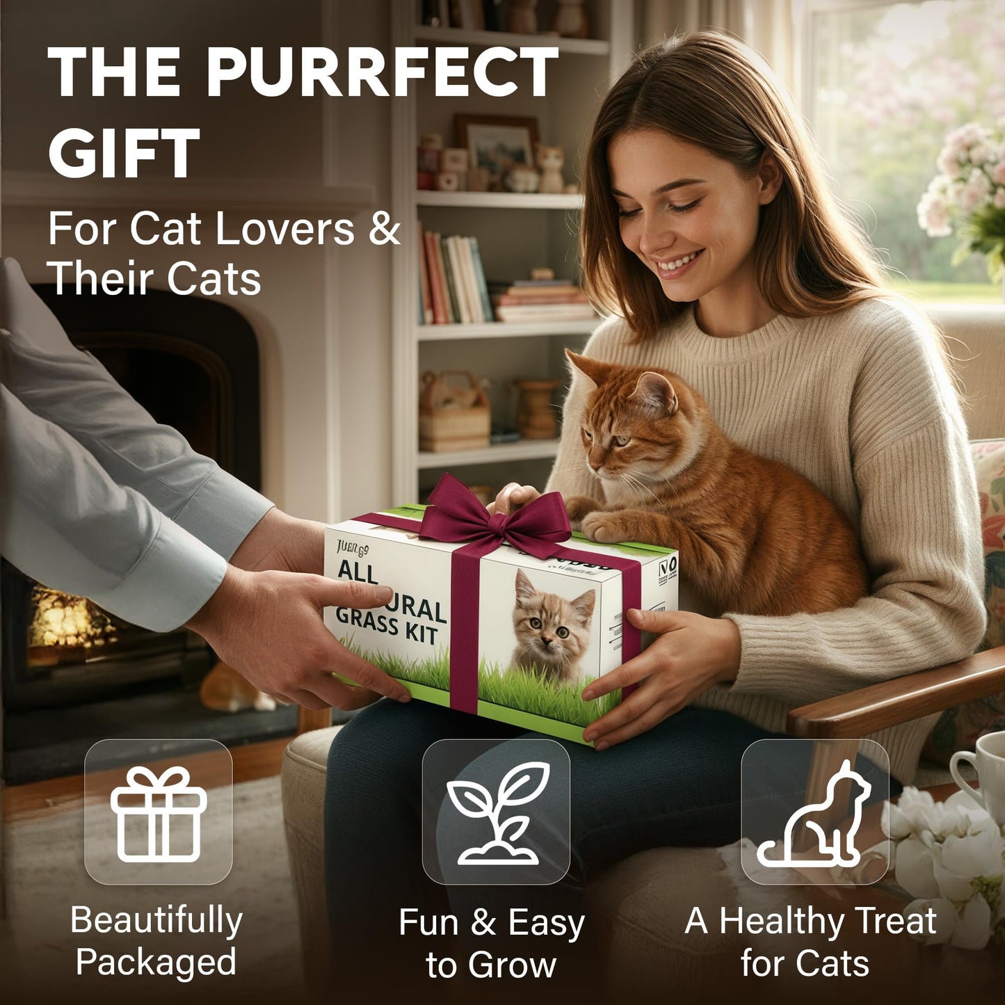 Cat Grass Kit for Indoor Cats – x4 Seed Packets | Cat Grass Seeds with Wooden Planter, Soil & Mini Gardening Tools for Nipping – Pet Wheatgrass Grass