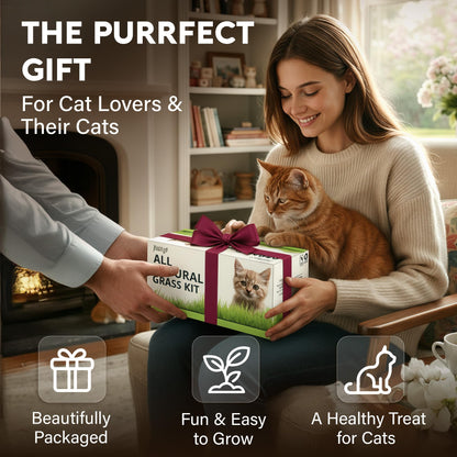 Cat Grass Kit for Indoor Cats – x4 Seed Packets | Cat Grass Seeds with Wooden Planter, Soil & Mini Gardening Tools for Nipping – Pet Wheatgrass Grass