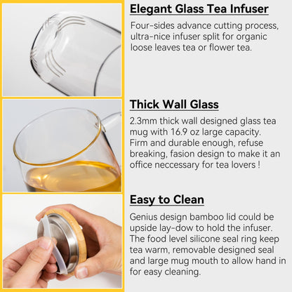 Dorsaer Glass Tea Mugs - Glass Tea Cup with Glass Infuser and Lid for Tea Steeping at Home and Office (16.9 oz)