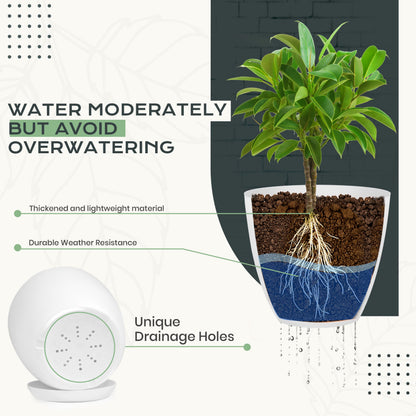 Utopia Home Pack of 10 - Plastic Plant Pots - Planters for Indoor Plants Saucer Tray - Nursery Pots Indoor with Drainage Holes,Succulent Pot (White)