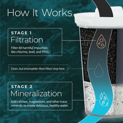 Single Replacement MINA Alkaline Water Filter by Santevia | Single At Home Water Pitcher Filter Adds Minerals and Makes Alkaline Water | Chlorine and Lead Water Filter | Made In Canada