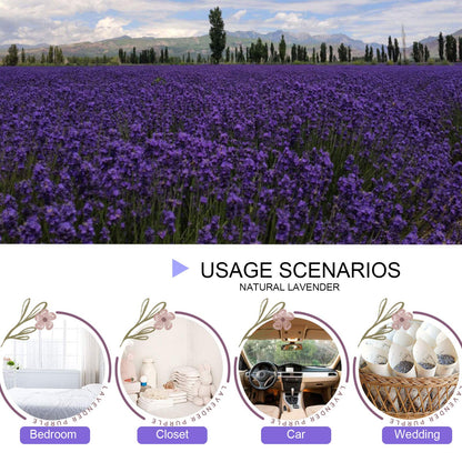 CoolCrafts Dried Lavender Flowers, Dry Lavender Buds Bulk Wholesale Fragrant Lavender for Wedding Toss, Crafts, Sachets - 1 Pound