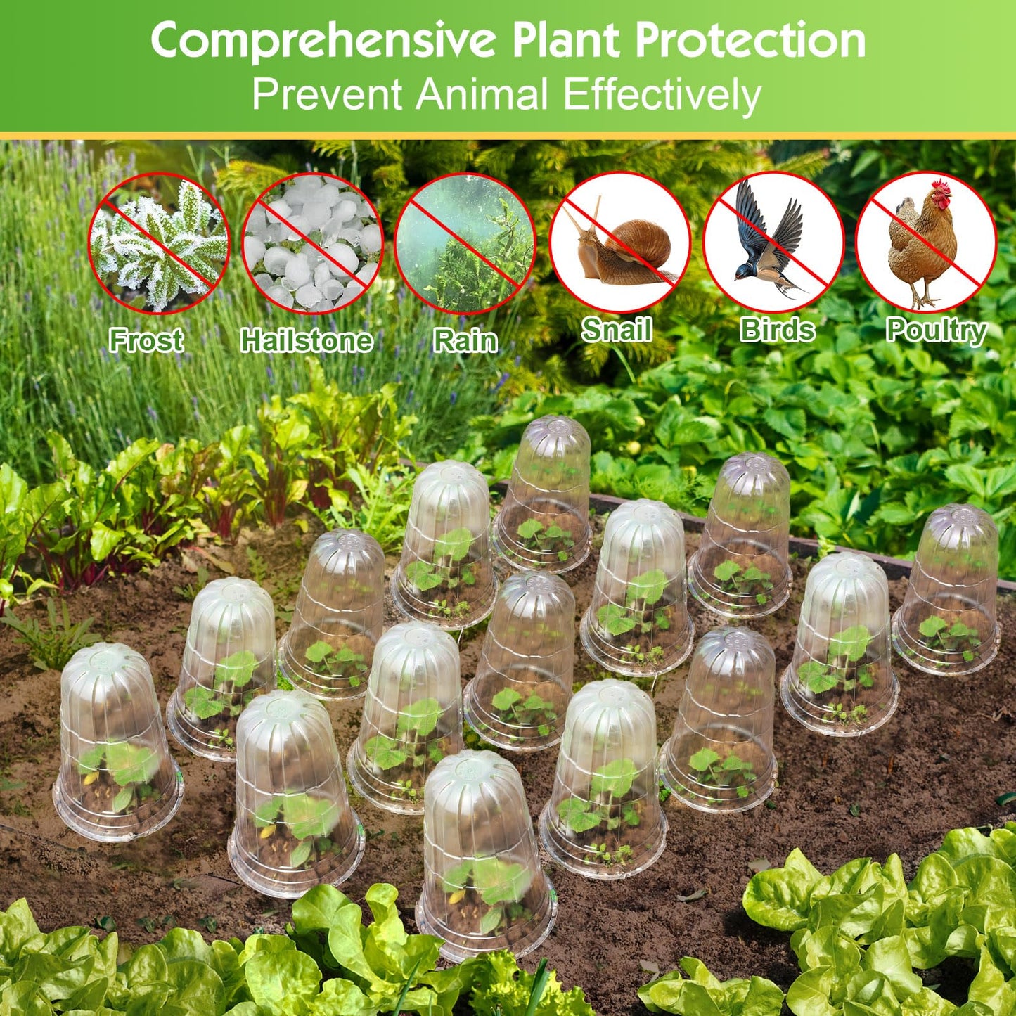 SEOIMU 【10 Pcs】 Upgraded Transparent Garden Cloches for Plants, Reusable Plant Covers, Plant Protectors from Animals for Garden Plants, Plant Covers Freeze Protection