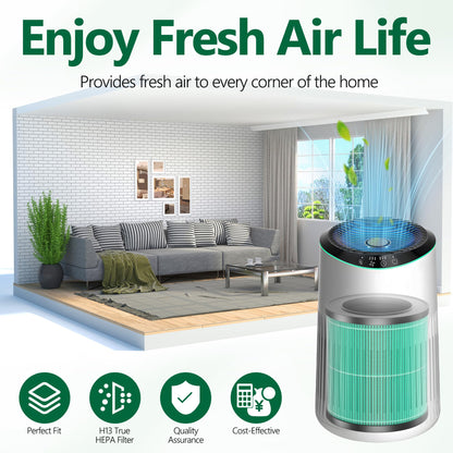 SAKEGDY MR2566 Replacement Filters,Compatible with MORENTO MR2566 Air Purifier, Pet Dander Version (2-Pack) - 3-in-1 Combo with 10 Aroma Pads