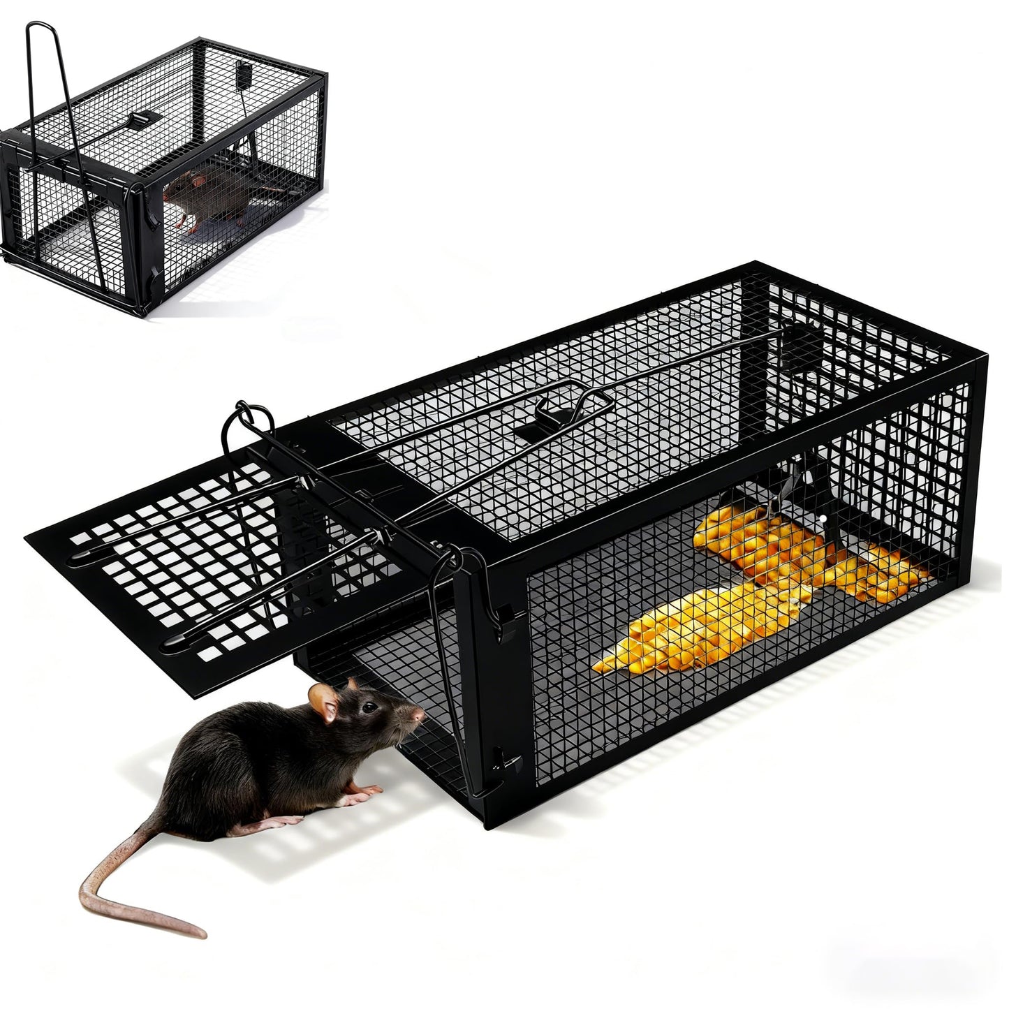 AGJIQ Humane Mouse Trap, Rat Trap Cage, Suitable for Indoor & Outdoor Use, Live Catch & Release Design for Mice, Chipmunks, Voles, Hamsters and Other Small Rodents(Black Single Unit)