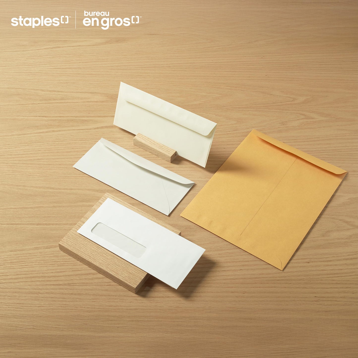 Staples Kraft Catalogue Envelopes with QuickStrip Closure - 5-7/8" x 9-5/8" - Brown - 100 Pack