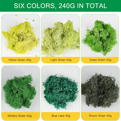 XIEJ Moss - Moss for Plants in 6 Colours, 240g Preserved Moss, Real Durable Natural Decorative Moss for Moss Picture Crafting/Decoration and Model Making Easter Decoration