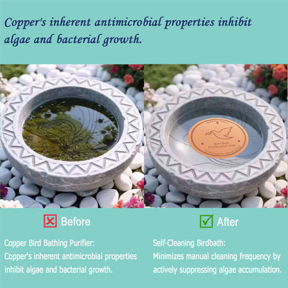 YUMEWARM 3Pack Bird Bath Copper Purification Disk | 0.6mm Reinforced 99.9% Pure Copper | Universal Fit for Outdoor Birdbaths(Birdbath Copper 3 Pack)