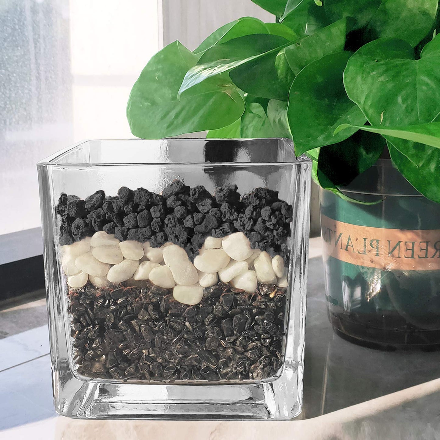 5LBS Black Lava Rocks for Plants -100% Pure Volcanic Rock No Dyes or Chemicals-Best Lava Stones Top Dressing for Cacti Succulents Plants,Bonsai-5lbs