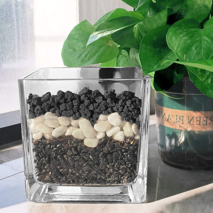 5LBS Black Lava Rocks for Plants -100% Pure Volcanic Rock No Dyes or Chemicals-Best Lava Stones Top Dressing for Cacti Succulents Plants,Bonsai-5lbs