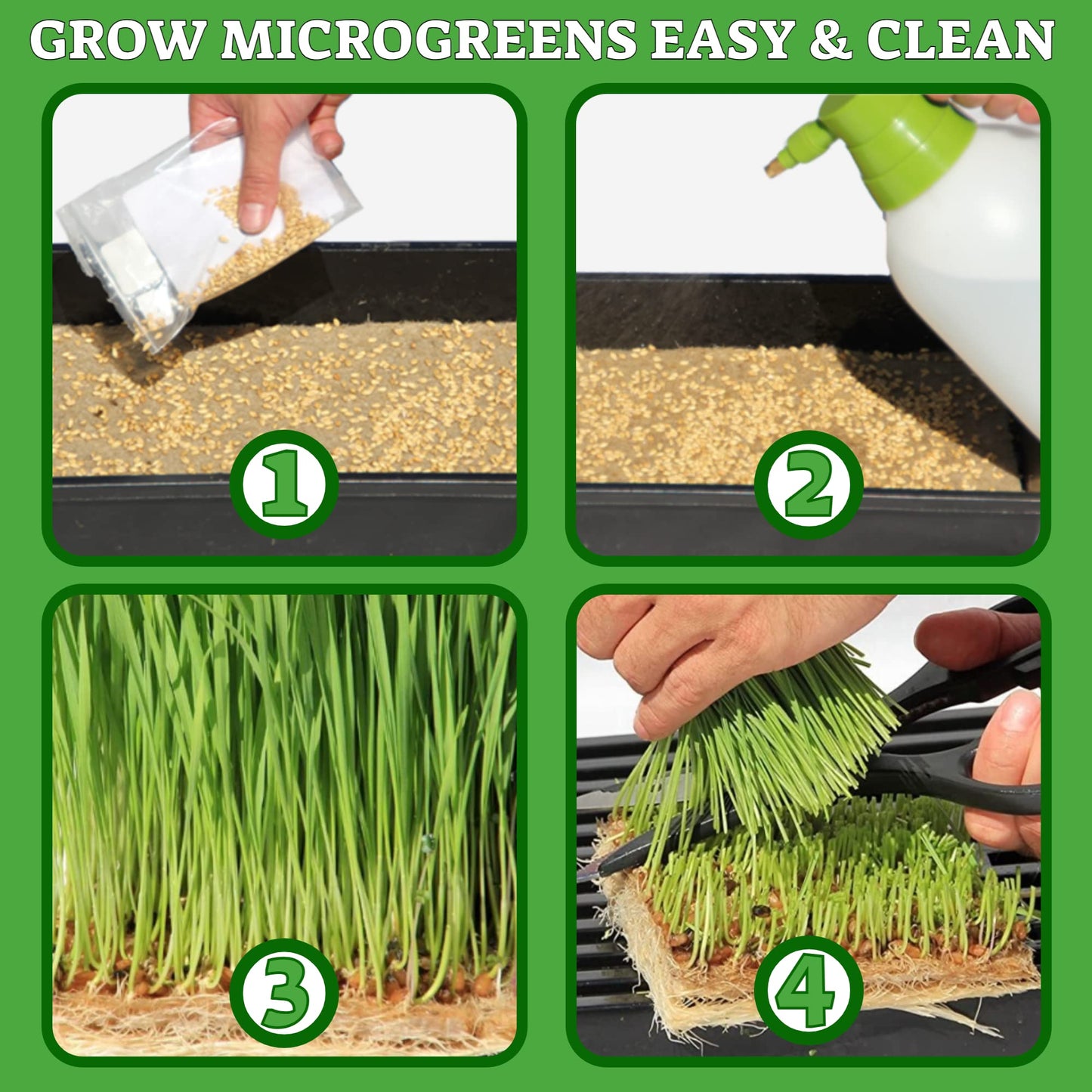 terrafibre Hemp Microgreen Growing Mats – 100% Organic & Biodegradable Seed Starter for Microgreens, Sprouts & Hydroponics – Fits 5x5 & 10x20 Trays – Ideal for Indoor Growing – 5” x 5” (40-Pack)