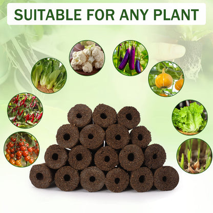 DECYOOL Garden Seed Pods, 148pcs Hydroponic Pods Kit:Grow Anything Kit with 36 Grow Baskets,36 Grow Sponges,36 Grow Domes,40 Pod Labels