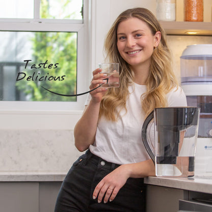 Single Replacement MINA Alkaline Water Filter by Santevia | Single At Home Water Pitcher Filter Adds Minerals and Makes Alkaline Water | Chlorine and Lead Water Filter | Made In Canada