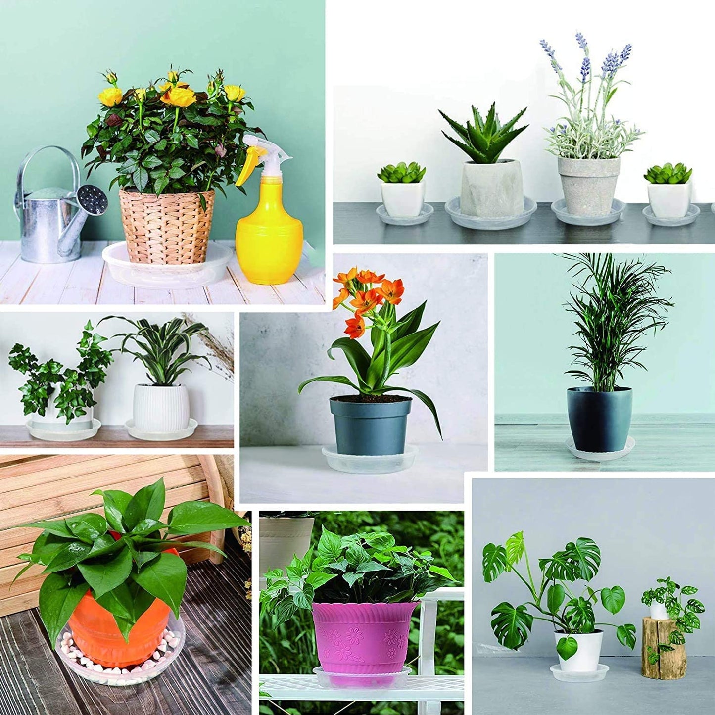 24Pack Clear Plastic Plant Saucers, Flower Pot Drip Trays, Plant Trays for Indoors, Outdoors - Collects Flower Pot Drainage and Excess Water - 6, 8, 10, 12 Inch