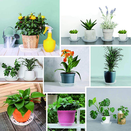 24Pack Clear Plastic Plant Saucers, Flower Pot Drip Trays, Plant Trays for Indoors, Outdoors - Collects Flower Pot Drainage and Excess Water - 6, 8, 10, 12 Inch