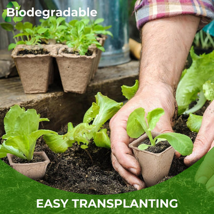 40 Packs Peat Pots Seed Starter Tray, 480 Cells Biodegradable Seedling Pots Germination Trays, Plant Starter Tray for Seedling, Organic Seed Starting Trays kit with Labels & 2 Transplant Tools (40)
