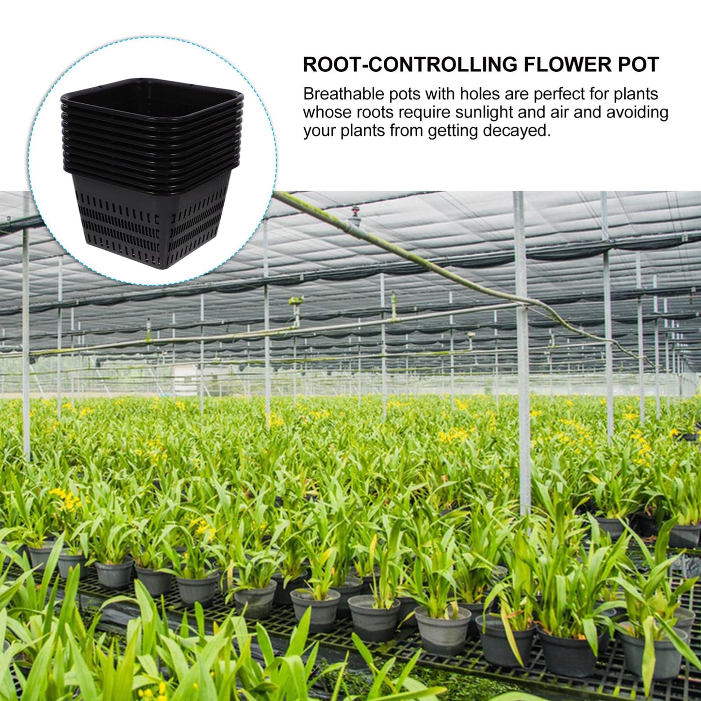 BESPORTBLE Aquatic Plant Basket, 10Pcs Square Mesh Net Pot - Hydroponic Planting Basket for Ponds Fish Tank Hydroponics