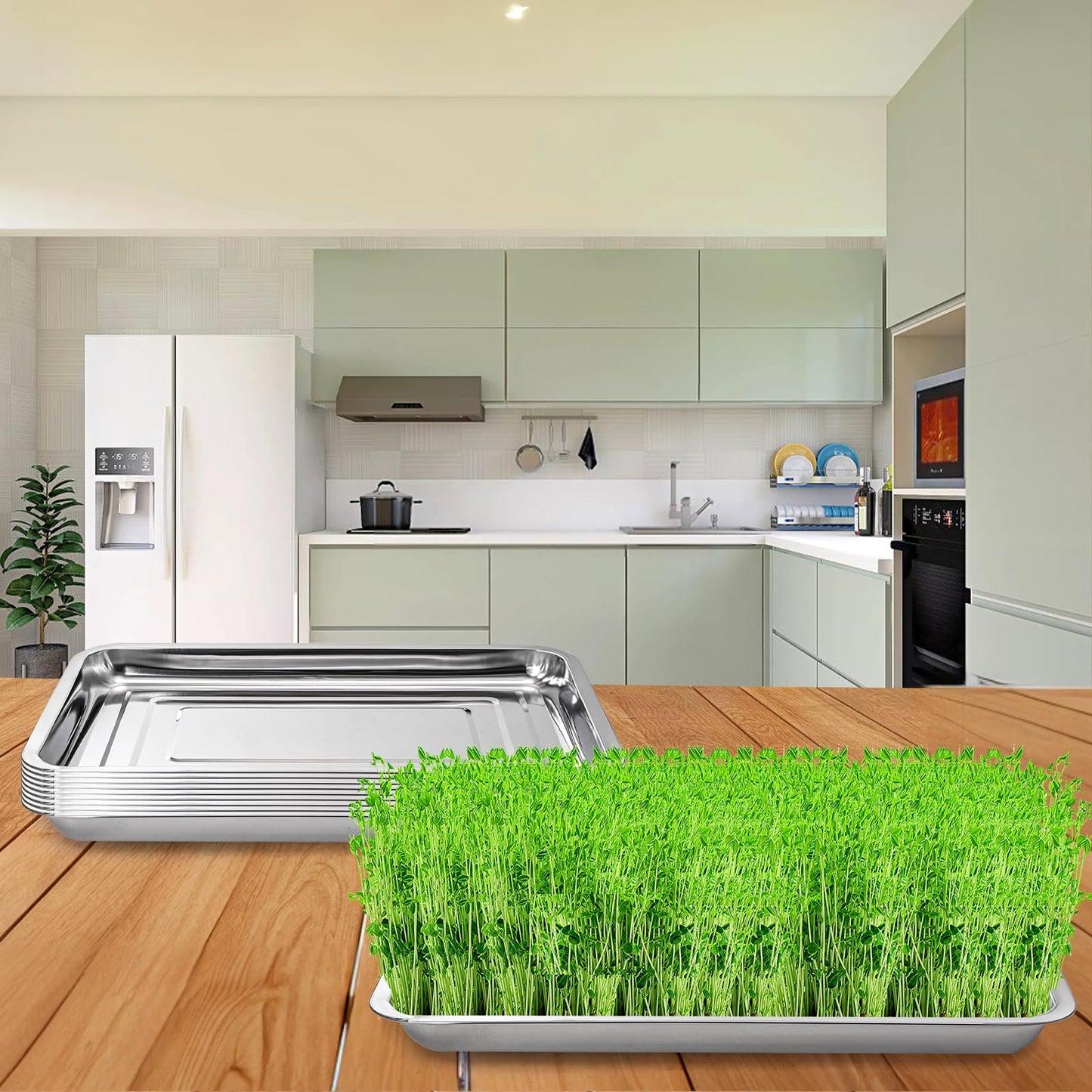 Youeon 10 Pack Seed Starter Tray 15.3x11.4x1.3 Inch, Stainless Steel Seed Sprouting Trays Germination Trays for Beans, Wheat Grass, Herbs, Broccoli & More, Plant Trays for Indoor Outdoor