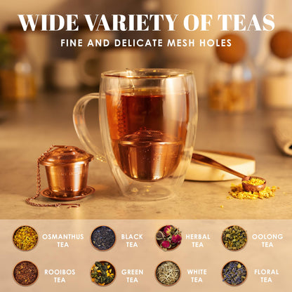 Apace Loose Leaf Tea Infuser (Set of 2) with Tea Scoop and Drip Tray - Ultra Fine Stainless Steel Strainer & Steeper for a Superior Brewing Experience (Rose Gold, Medium)