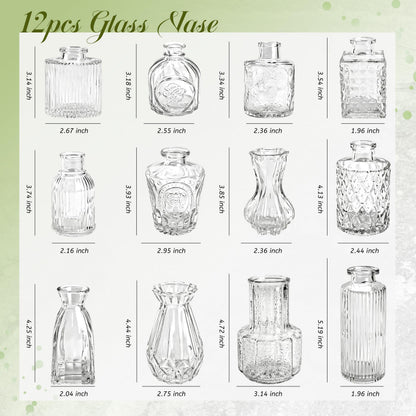 Der Rose 12pcs Small Glass Bud Vases Bulk, Clear Flower Vases for Home Dining Table & Wedding Centerpieces Decor