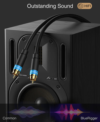 BlueRigger RCA Audio Subwoofer Cable (8FT, Dual Shielded, Gold Plated RCA Connectors) – for Subwoofer, Amplifier, Home Theater