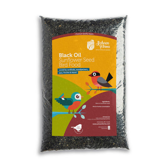 Schoen Farms Black Oil Sunflower Seeds for Birds (6 LBS)