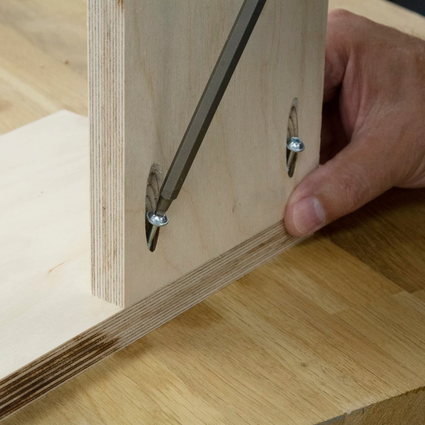 Trend Pocket Hole Screws for Softwoods, 50mm Long, Pack of 200, Coarse Self-Cutting Threaded Square Drive Screws, PH/8X50/200C