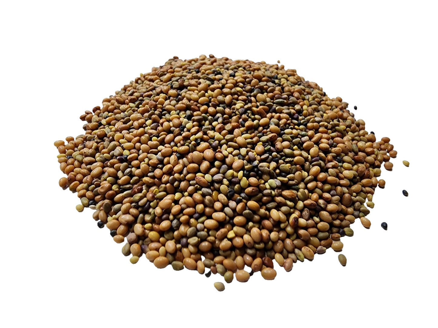Bee Feed Clover Seed Mix, with Crimson Clover, Red Clover, Sweet Clover, Alsike Clover, White Clover (Bee Feed Clover Seed Mix 200 g)