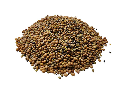 Bee Feed Clover Seed Mix, with Crimson Clover, Red Clover, Sweet Clover, Alsike Clover, White Clover (Bee Feed Clover Seed Mix 200 g)