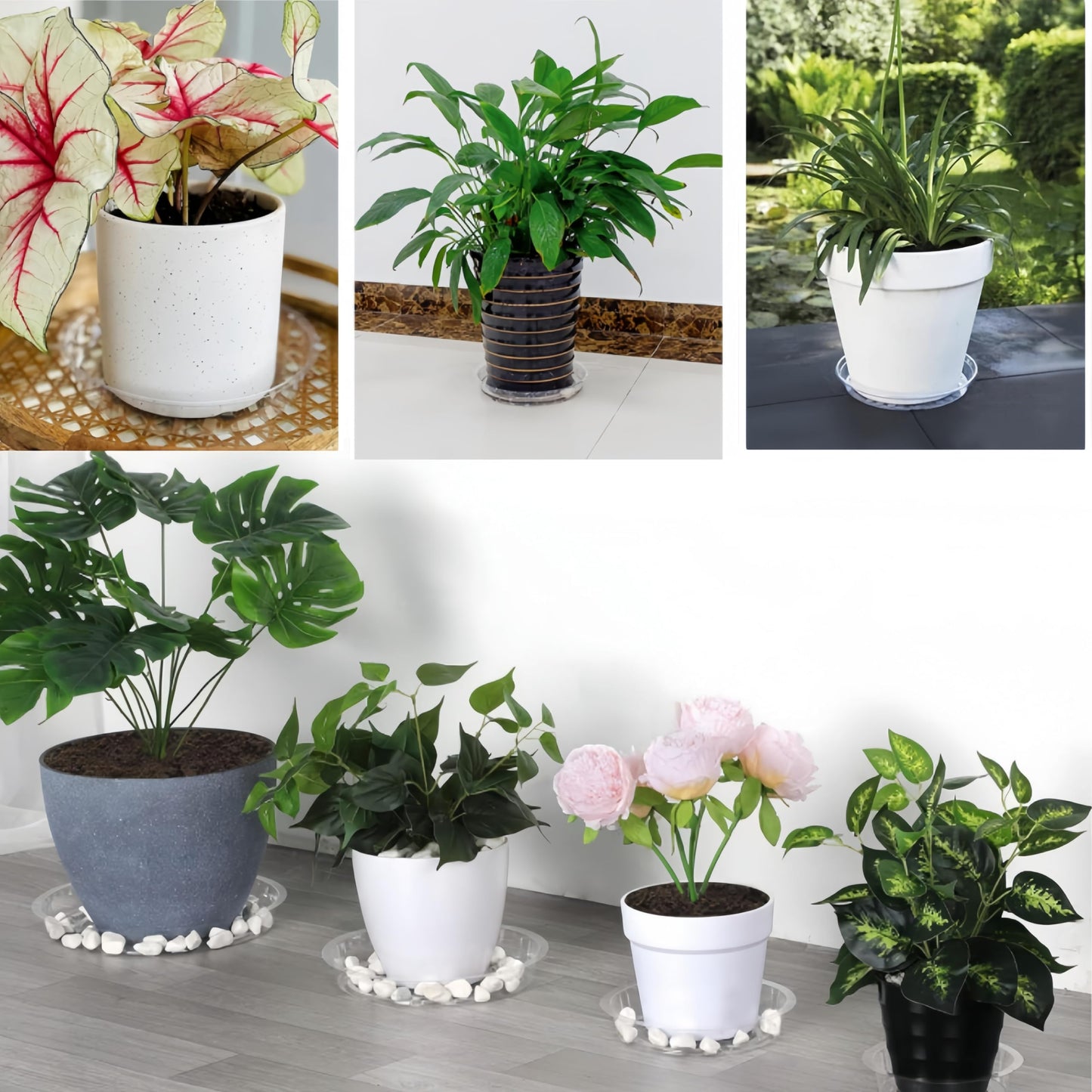 24 pcs Clear Plastic Plant Saucer Drip Trays,Large Plant Plate Dish 6, 8, 10, 12 Inches Pot Saucers Flower Pot Set, for Indoor Flower Pots and Planter