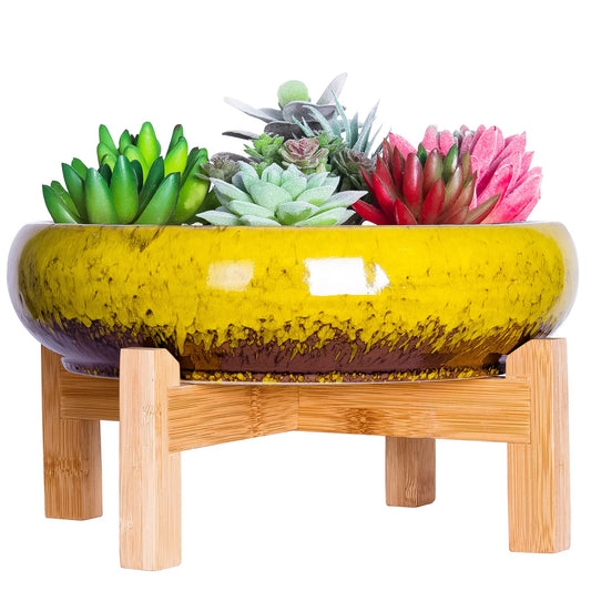 Succulent Pot - 10 Inch Large Plant Pots with Drainage Shallow Bonsai Pot with Stand, Ceramic Flower Pot for Indoor Cactus Succulent Planter Bowl Decorative Garden Home Office