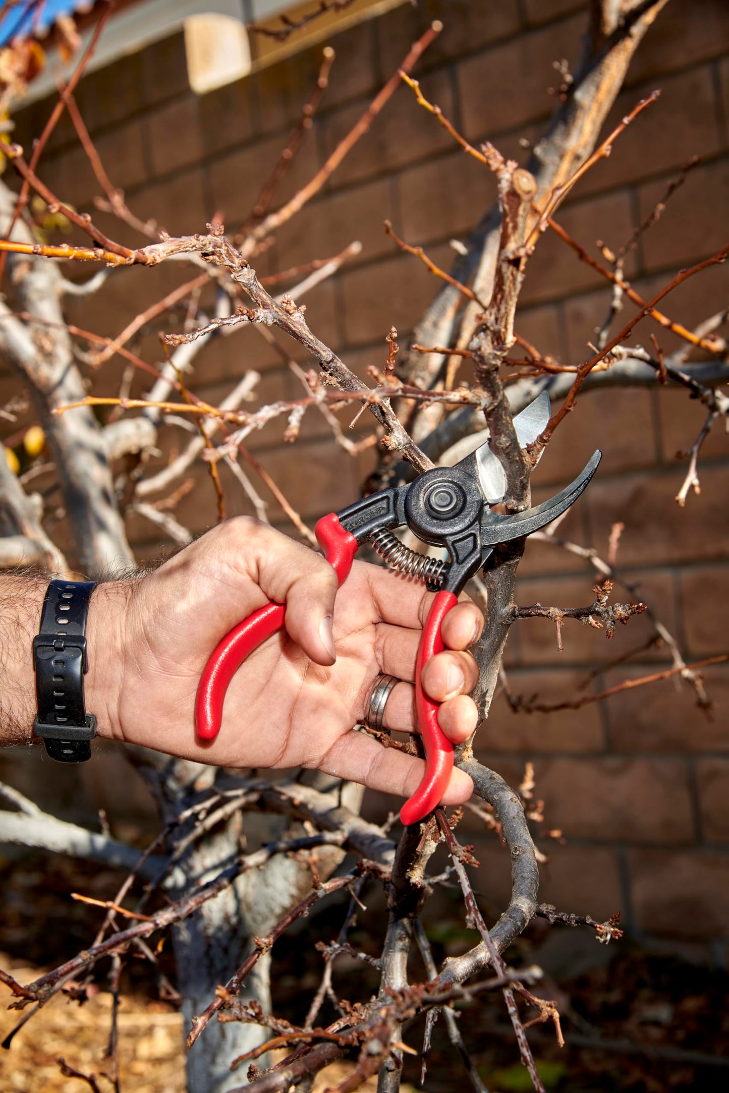 Corona BP 3640 Ergo-Action Forged Bypass Pruner, 3/4-Inch Cut
