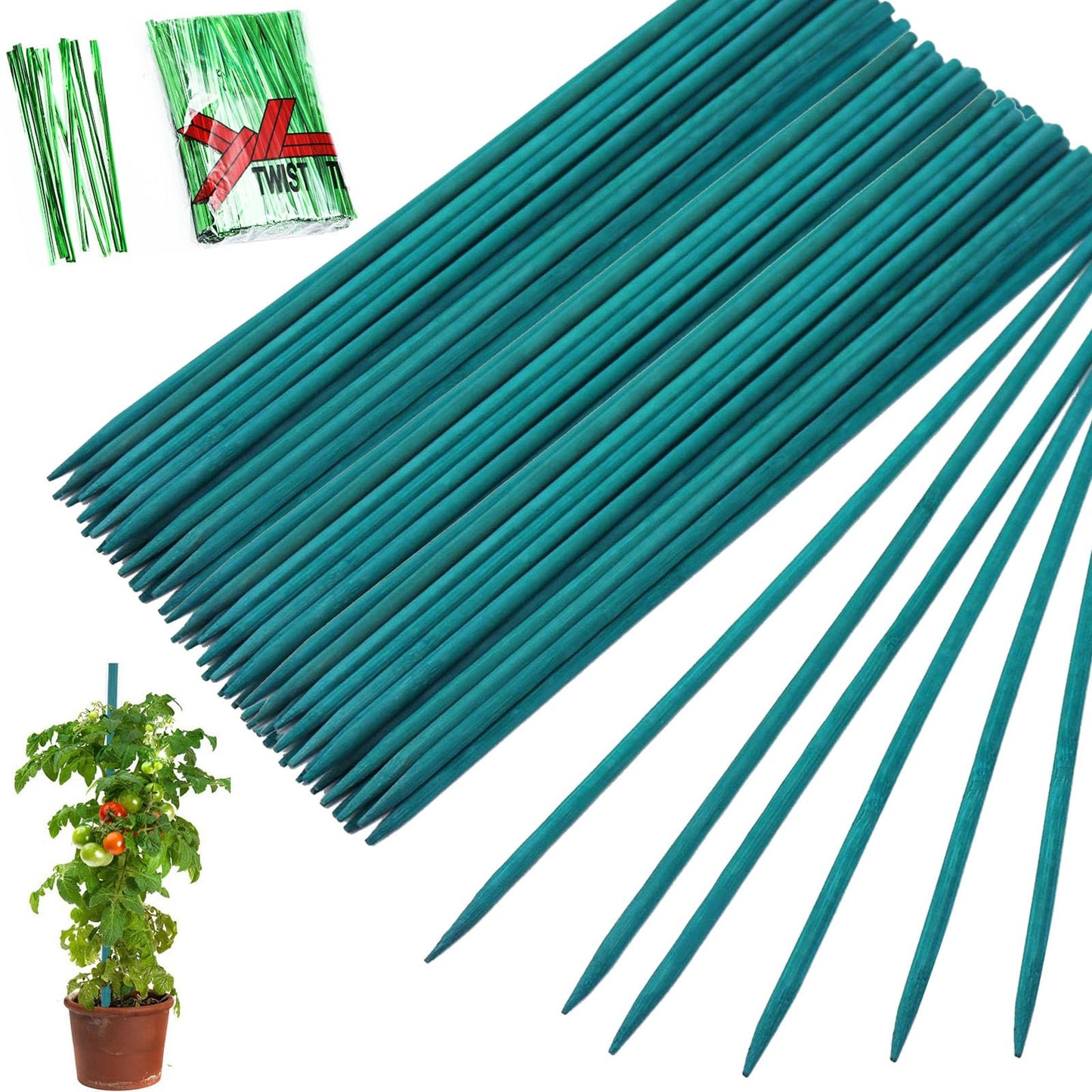 BetterJonny 100Pcs Plant Support Stakes With 100Pcs Ties - 15.7 Inches Bamboo Sticks for Indoor Potted Plants, Home Flower Shop Garden Floral Support