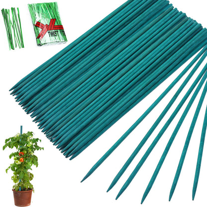 BetterJonny 100Pcs Plant Support Stakes With 100Pcs Ties - 15.7 Inches Bamboo Sticks for Indoor Potted Plants, Home Flower Shop Garden Floral Support