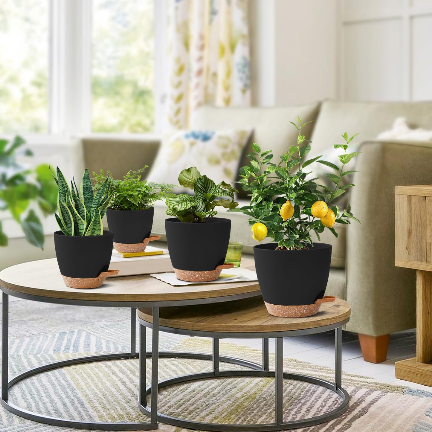 5 Pack Plant Pots Indoor 7/6.5/6/5.5/5 Inch Flower Pots Self Watering Planters for Indoor Plants with Drainage Hole Plastic Plant Pot for African Violet Cactus Flowers Succulents(Black)