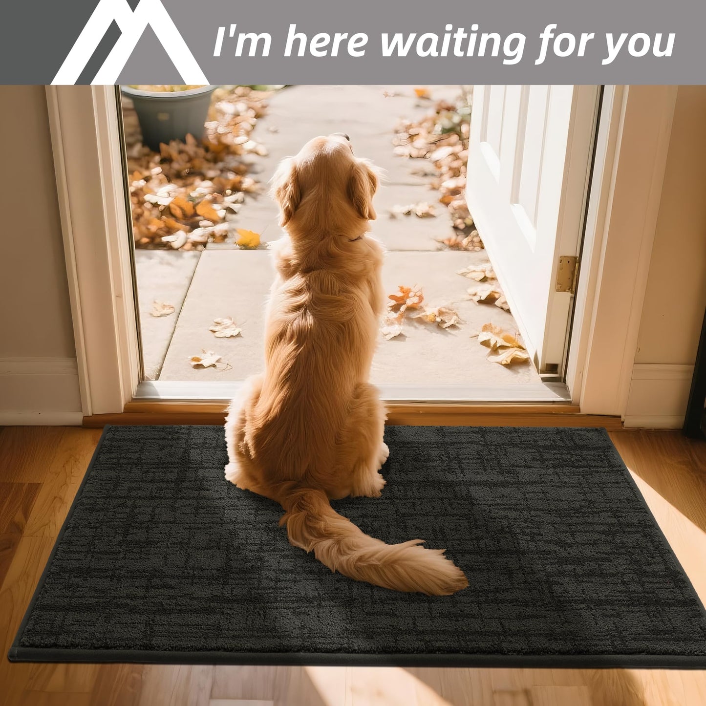 COSY HOMEER Non-Slip Doormat, 20" x 32" Doormats Entryway Rug Absorbent Dirt Trapper Door Mat for Indoor Entrance, Front Back Indoor Door Mats, Grey