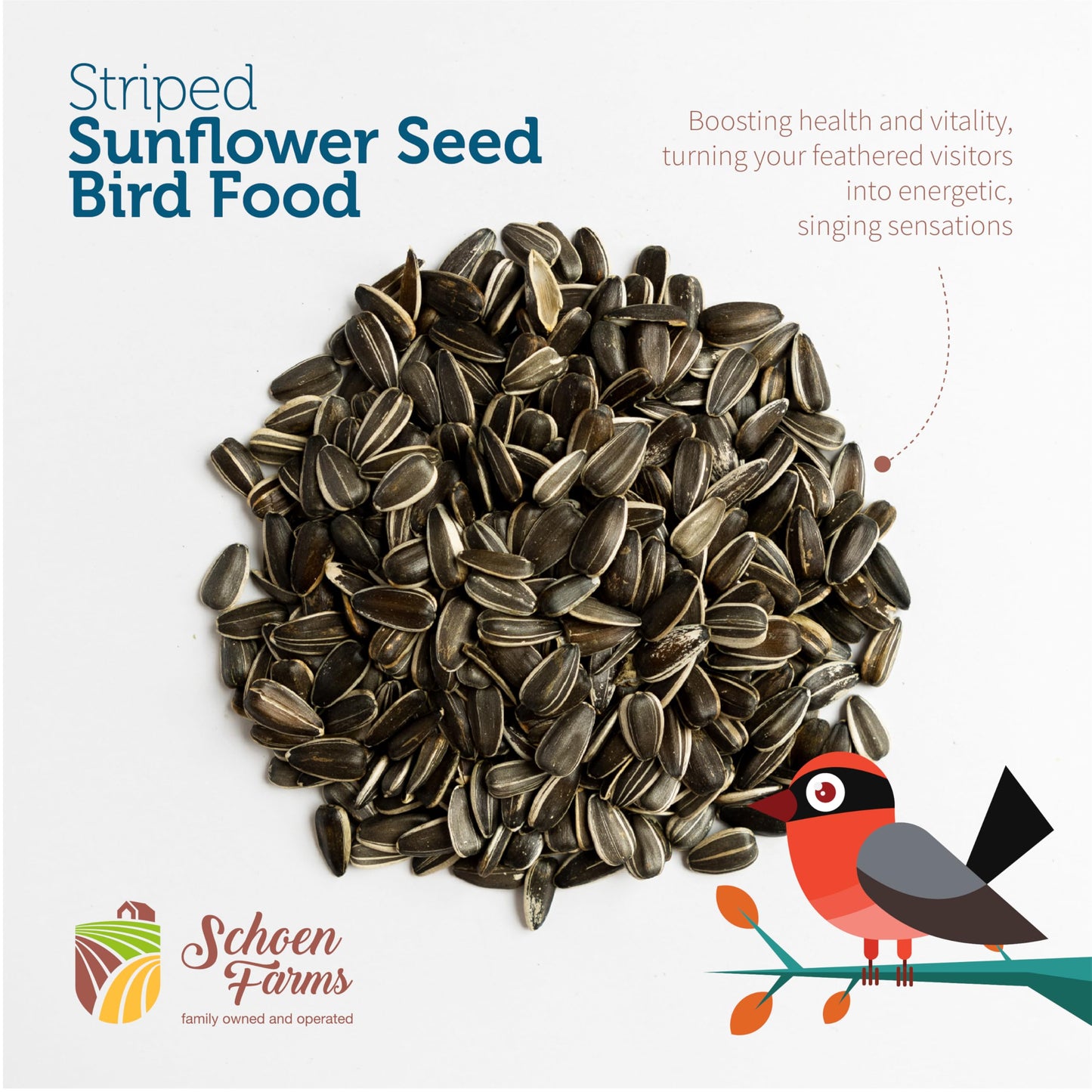 Schoen Farms Striped Sunflower Seeds for Birds, (5 Pound)