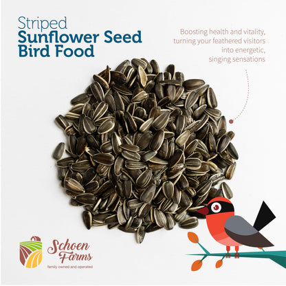 Schoen Farms Striped Sunflower Seeds for Birds, (5 Pound)