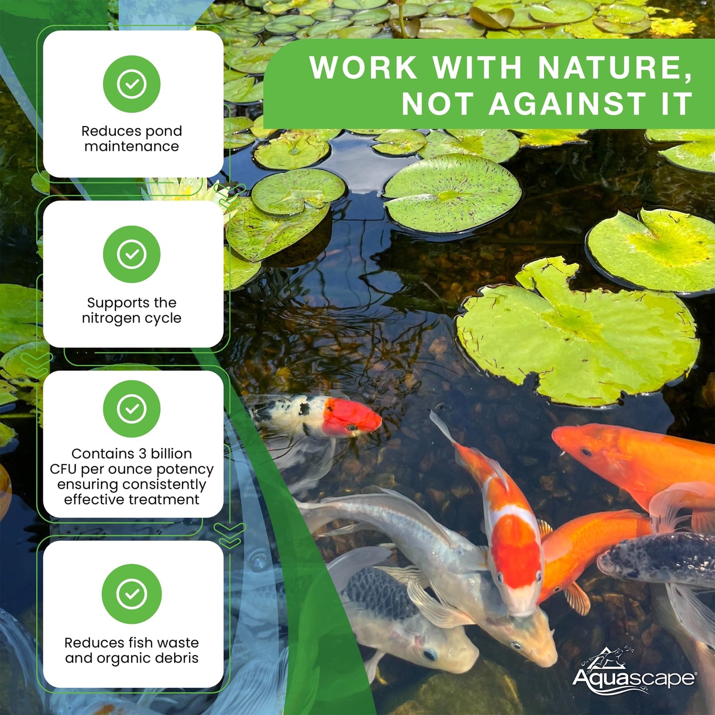 Aquascape 98948 Dry Beneficial Bacteria for Pond and Water Features, 8.8-Ounce